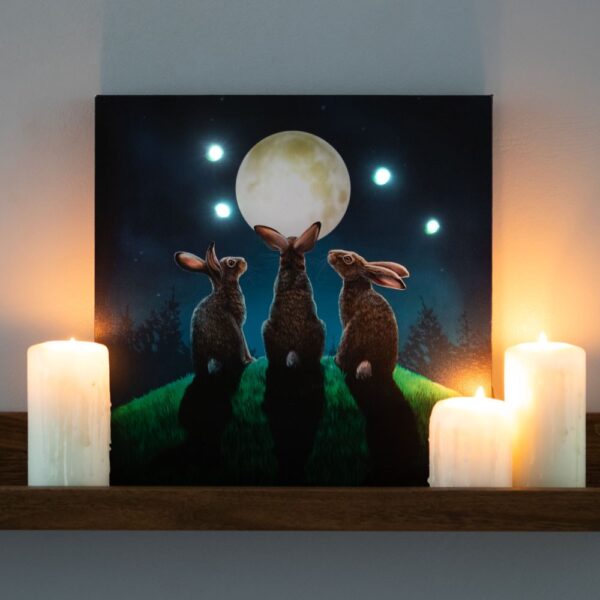 Maagiline valgustusega pilt “Kuu varjud”